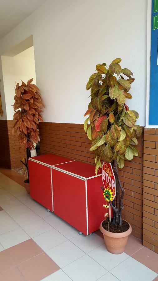 Home Hostel Шкодер Екстер'єр фото