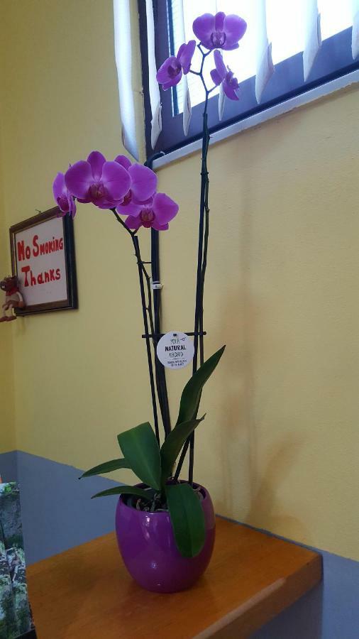 Home Hostel Шкодер Екстер'єр фото