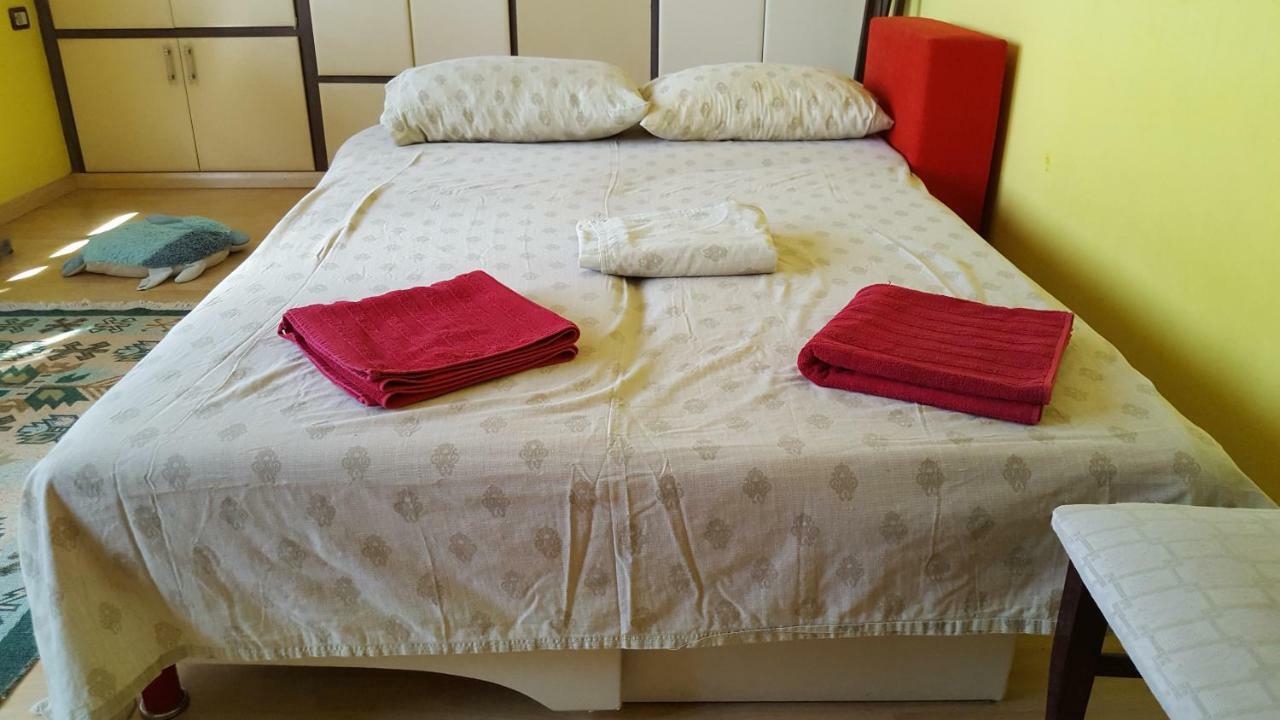 Home Hostel Шкодер Екстер'єр фото
